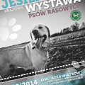 Jesienna Krajowa Wystawa Psów Rasowych – w sobotę, 4 października w Darłowie!