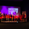 VII Gala wolontariatu