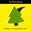 Super akcja: Pomóżmy choince wyjść z domu