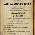 Wielka Mobilizacja Morsów