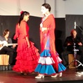Flamenco na darłowskiej plaży 