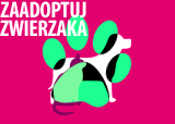 Zaadoptuj zwierzaka